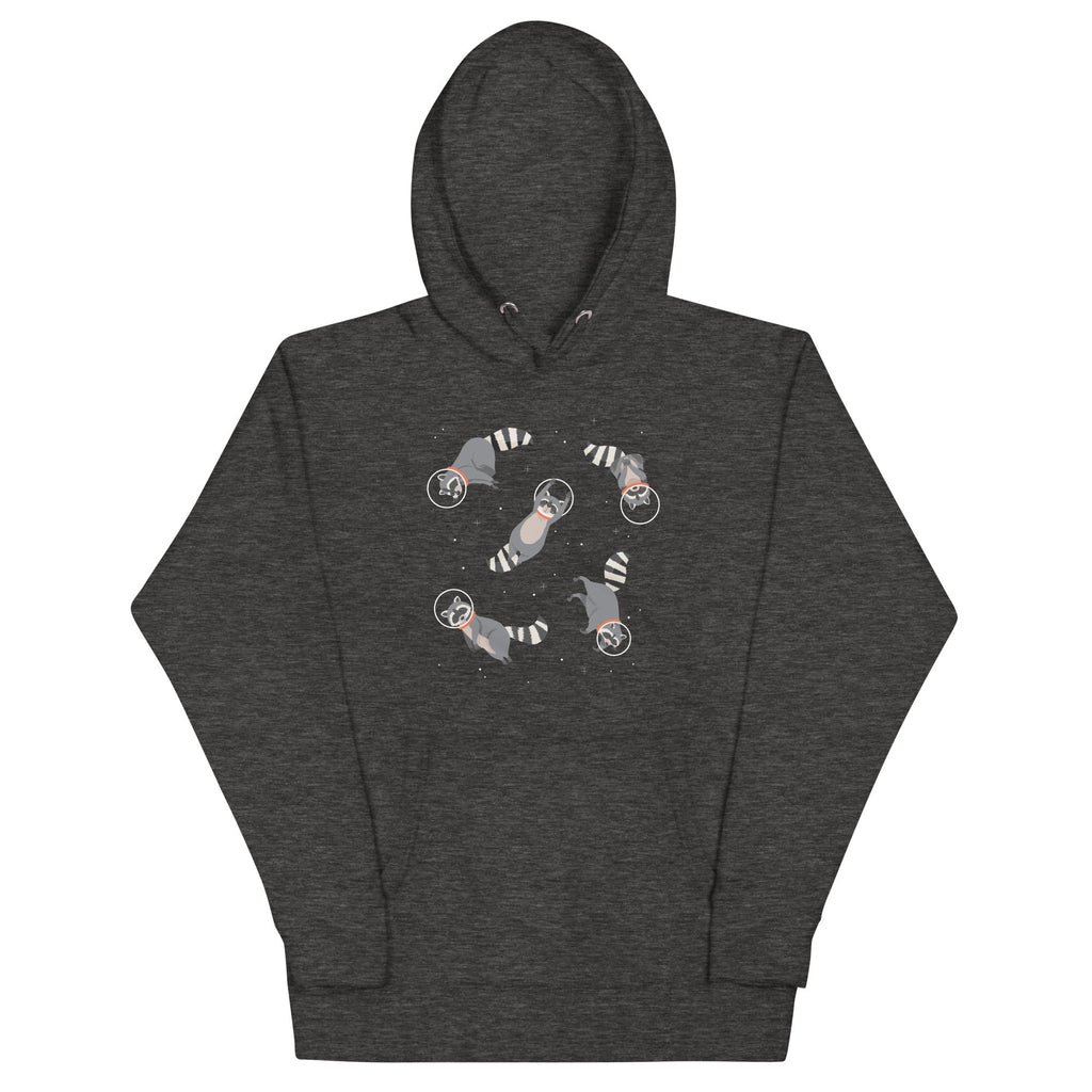 Raccoons In Space Unisex Hoodie product image 3