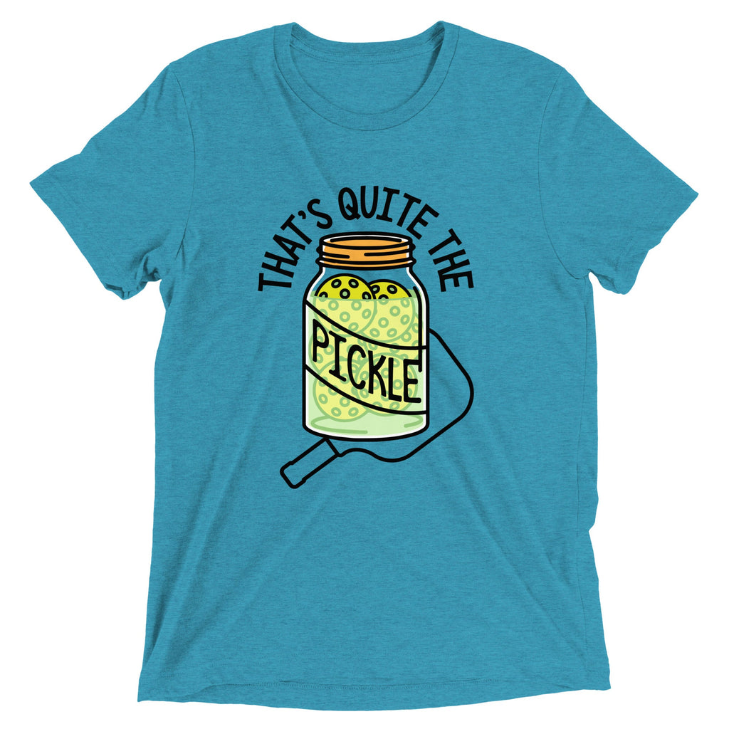 That's Quite The Pickle Men's Tri-Blend Tee product image 1