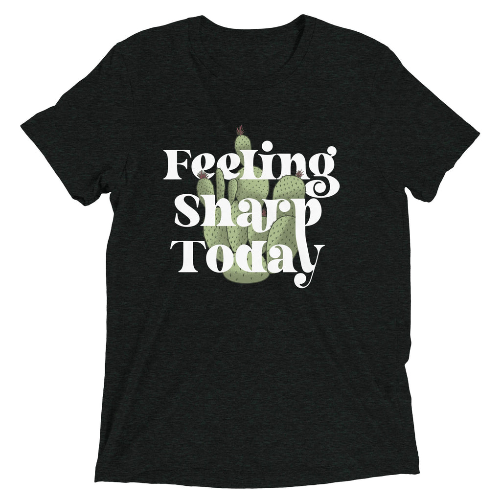 Feeling Sharp Today Men's Tri-Blend Tee product image 2