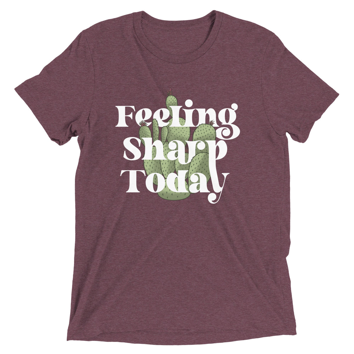 Feeling Sharp Today Men's Tri-Blend Tee product image 5