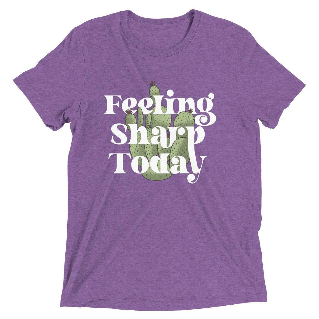 Feeling Sharp Today Men's Tri-Blend Tee product image 6