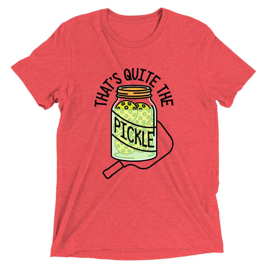 That's Quite The Pickle Men's Tri-Blend Tee product image 3